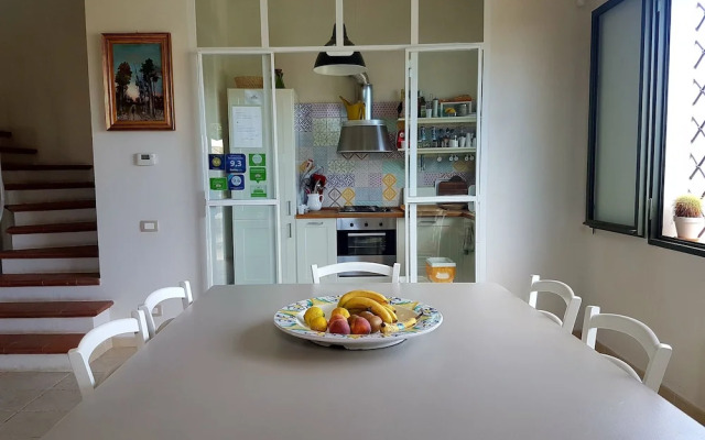 Tenuta Don Paolino