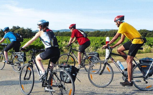 Apartment in Caderousse With Pool