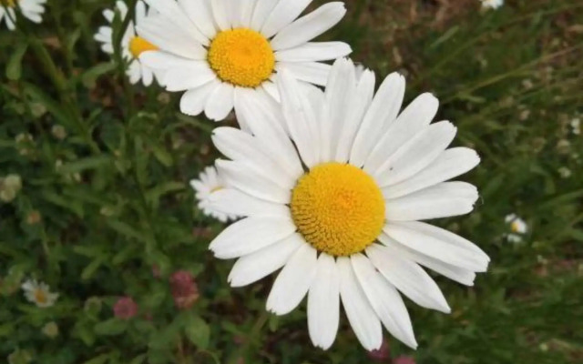 Yunshang Business Hotel