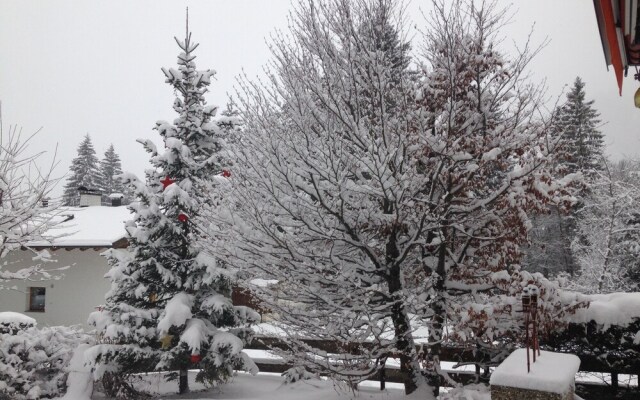 Hotel Pension Schweizerhof