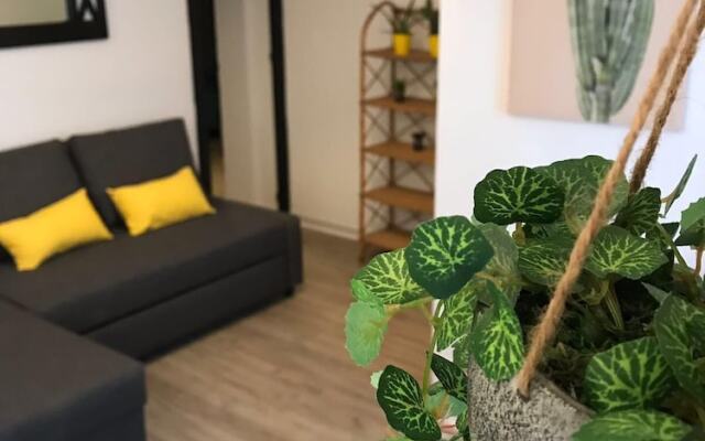 Cactus Apartment