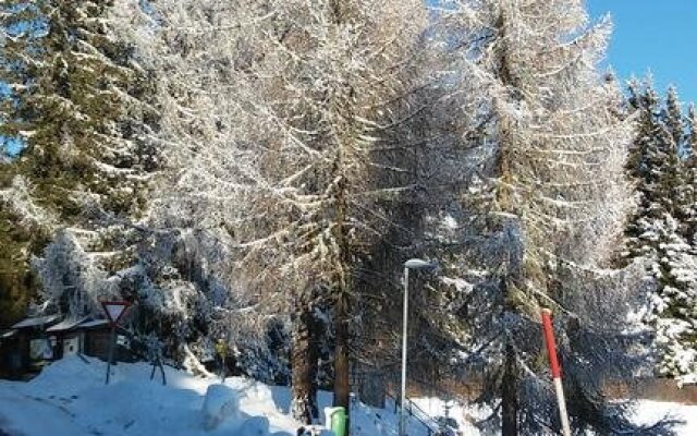 Ferienwohnung im Haus Edelweiss
