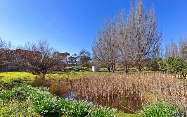 Ventnor Guest House