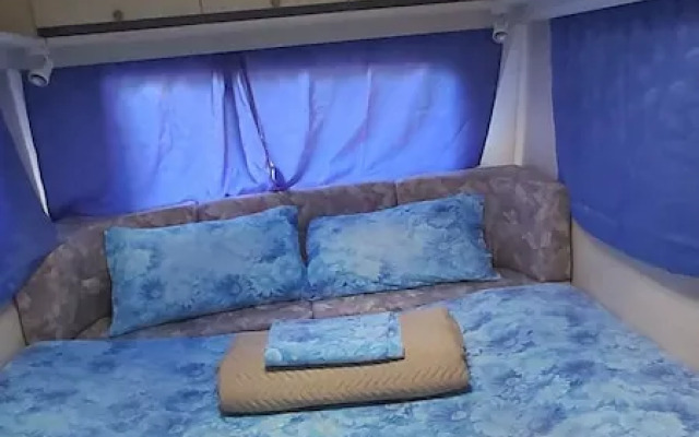 Mobile Homes Surrounded by Greenery