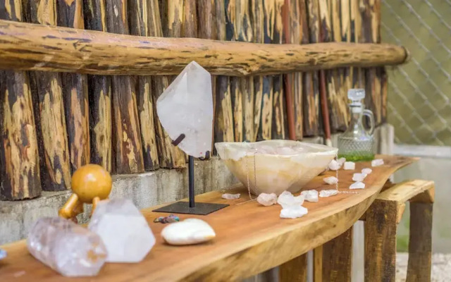 Jungla y Estrellas K AAX EK