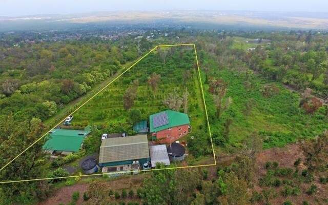 Mango Sunset Bed and Breakfast