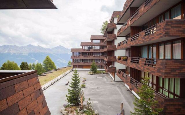 Wildhorn 222