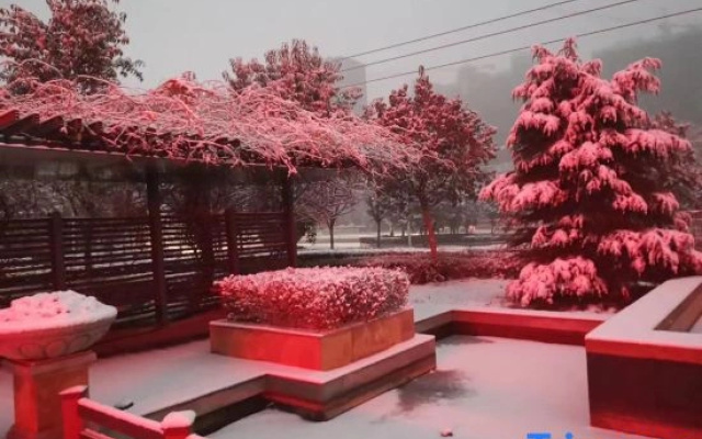 Wanjia Hotel