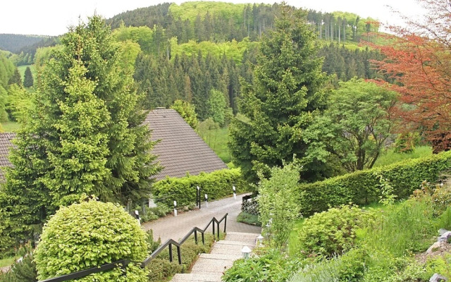 Mesmerizing Villa in Willingen Germany with Private Garden