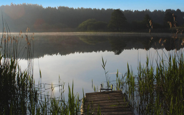 Holiday Homes Inselblick Lohmen - Dms01091-Fya