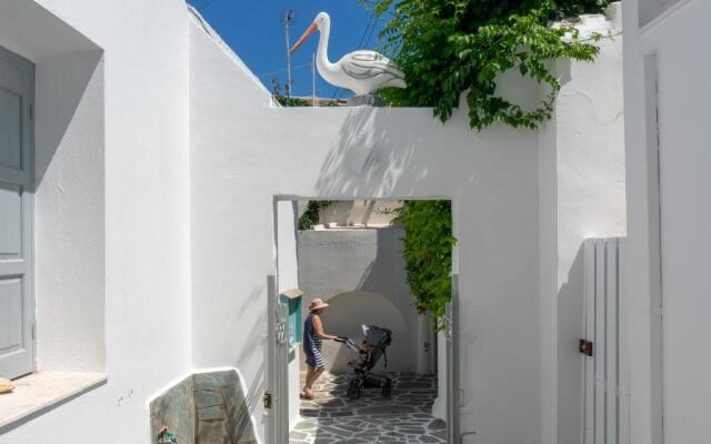 Pelican Paros