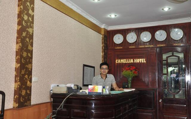 Hotel Mykinh I Camelia