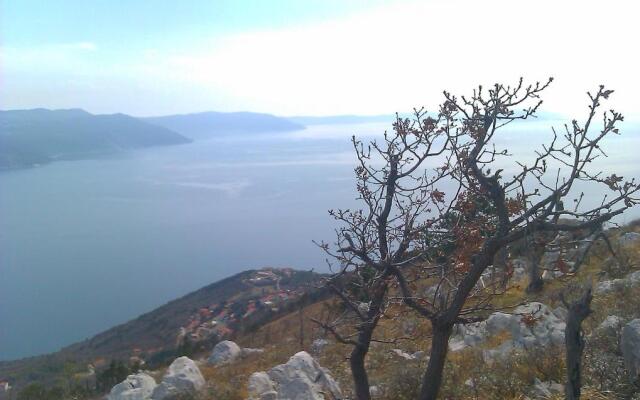 Apartments Plavčić