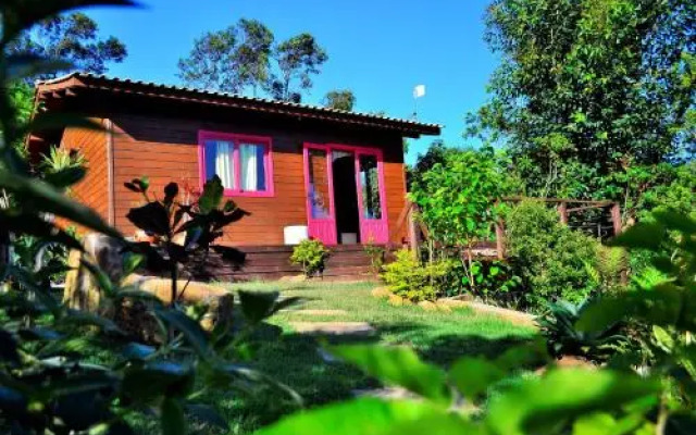 Wood Cabin into the Wild