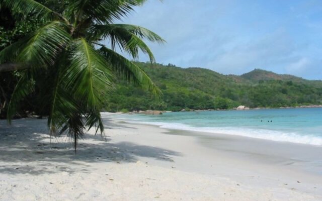 Omusee Guesthouse