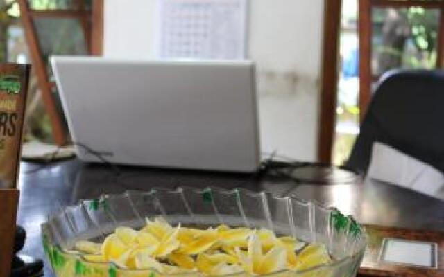 Beachbums Berawa Hostel