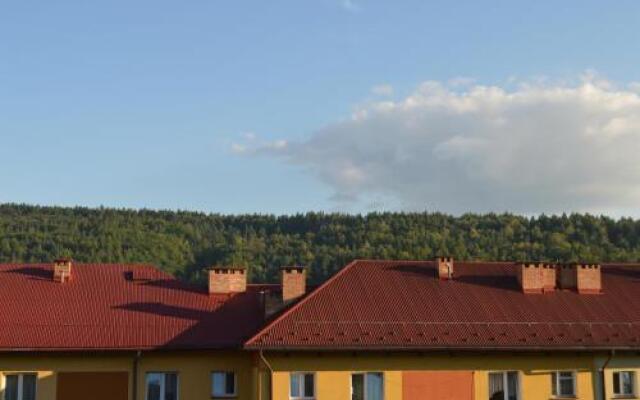 Apartament Ustrzyki