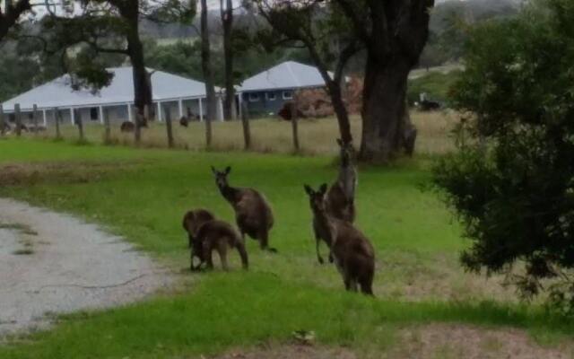 Woody Grange Chalets