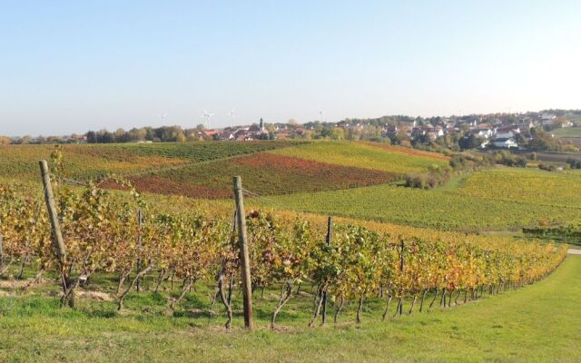 Weingut Seck