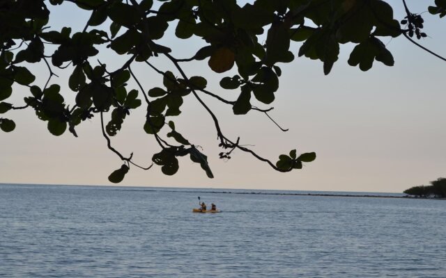 Palm Island