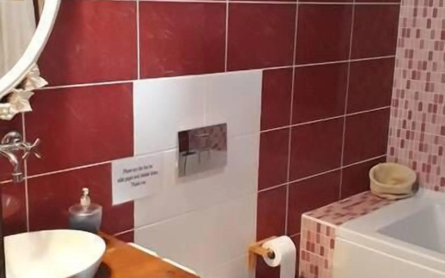 Lazy Lizard Boutique-Hotel