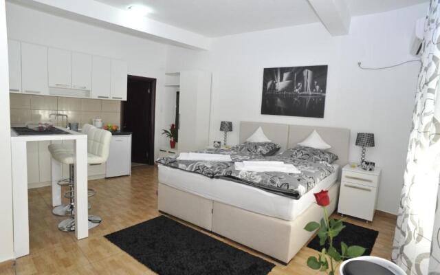 Apartment Jovana Nikšić