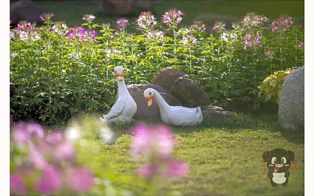 Chill chill farm resort