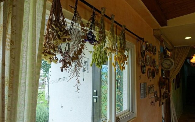 La Forêt B&B