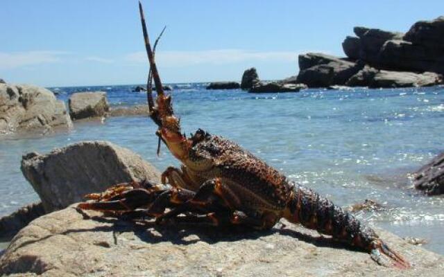 The Lamberts Bay