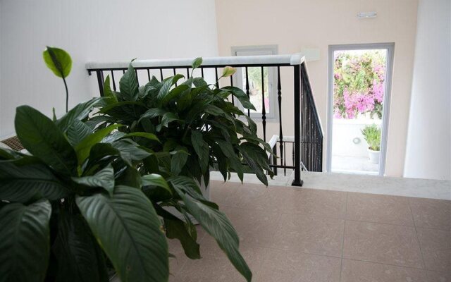 Atrium Villa