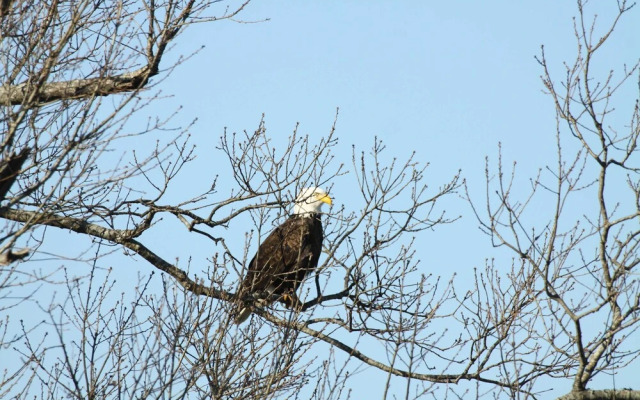 Riverfront Arkansas Retreat Near Fishing & Hiking!