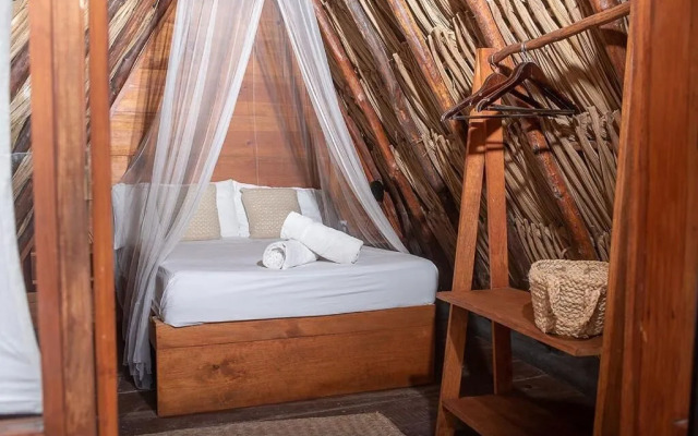 Mapache Hostel & Camping