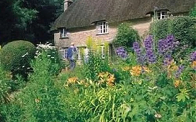 Bramlies