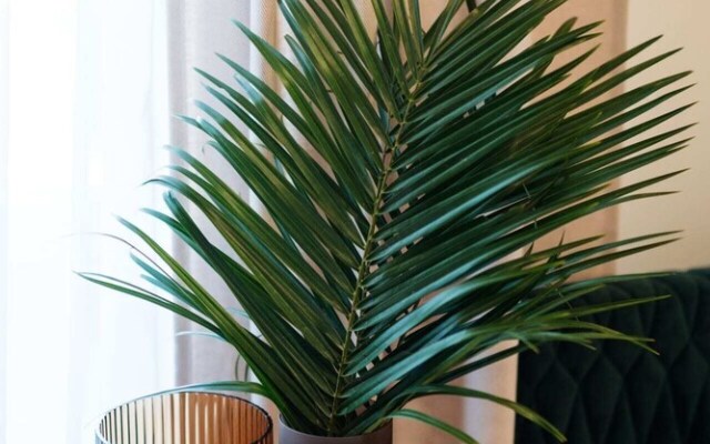 Sapphire Studios by Loft Affair