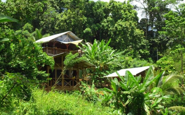 Coco Hill