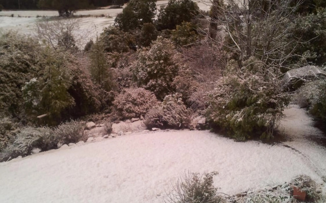 Waterview Gardens B&B