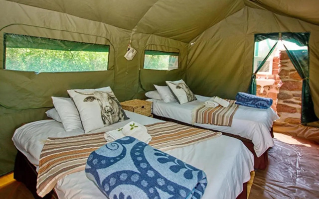 Brandberg White LadyLodge