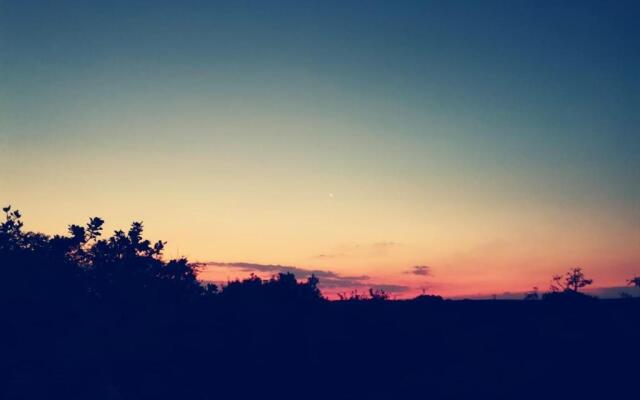 Sondela Nature Reserve & Spa Moselesele Tents