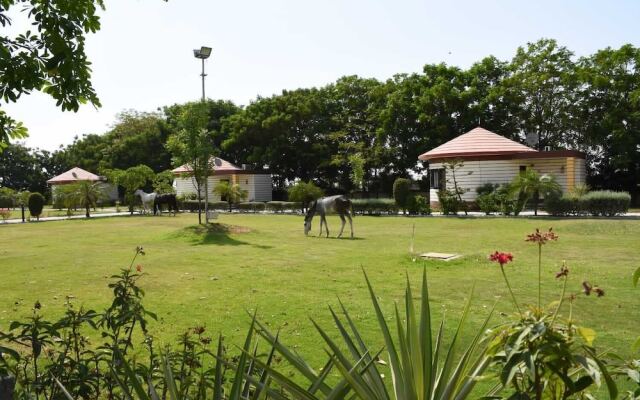 The Desert Den - Little Rann of Kutch