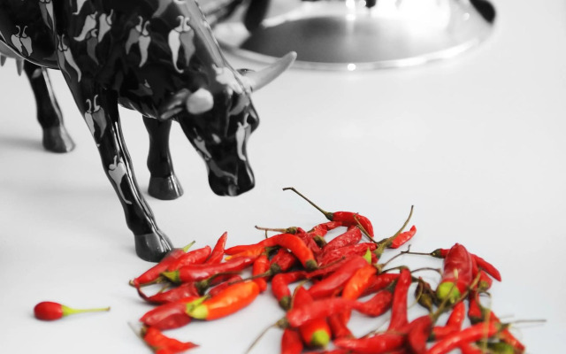 Hotel Spicy