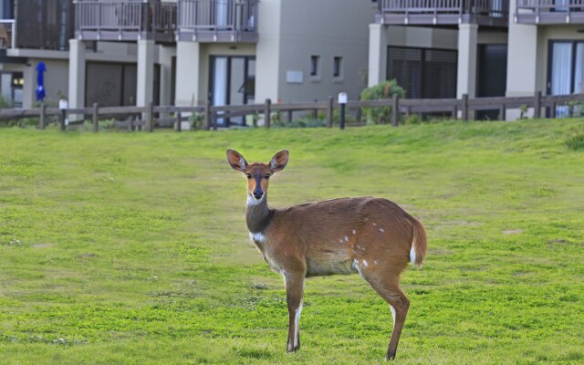 Brenton Haven Beachfront Resort