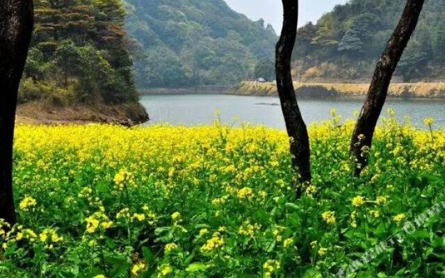Huangshan Bed and Breakfast