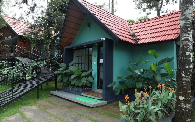 Bay View Suites Vythiri