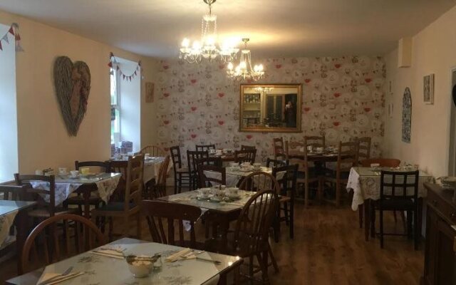 Lillys Pad
