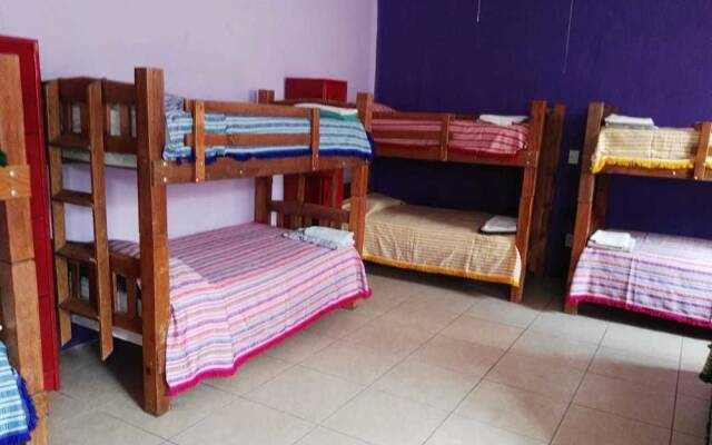 Olga Querida Hostal - Hostel