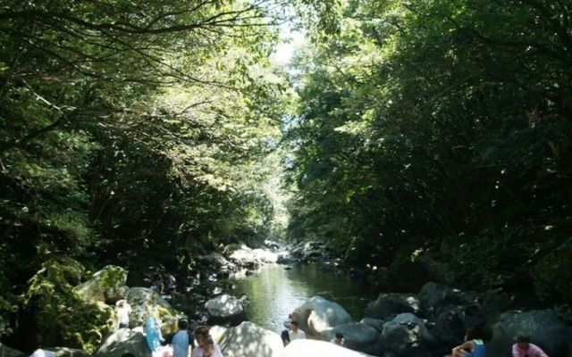 Seoguipo Ancrer Pension