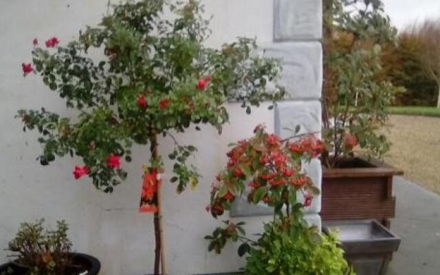 Ashford Haven B&B