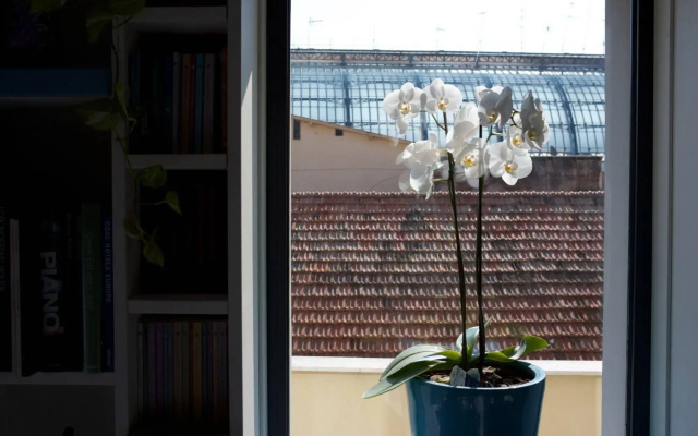 B&B Attico Partenopeo