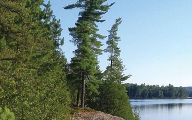 Lodge on the Point
