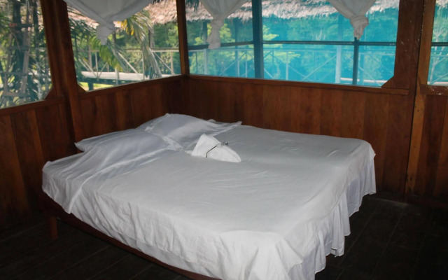 Tropical Adventures & Expeditions
